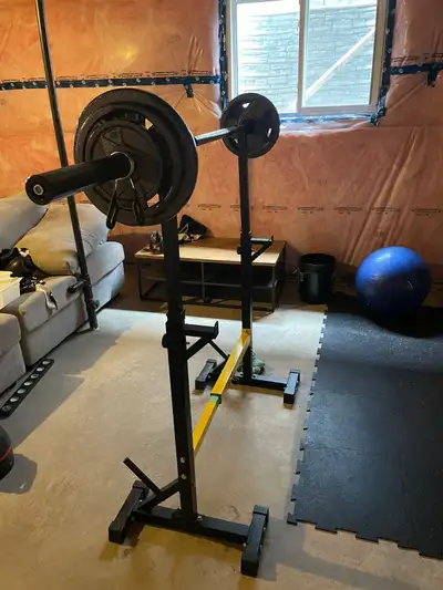 Olympic bar with weights and rack, View more