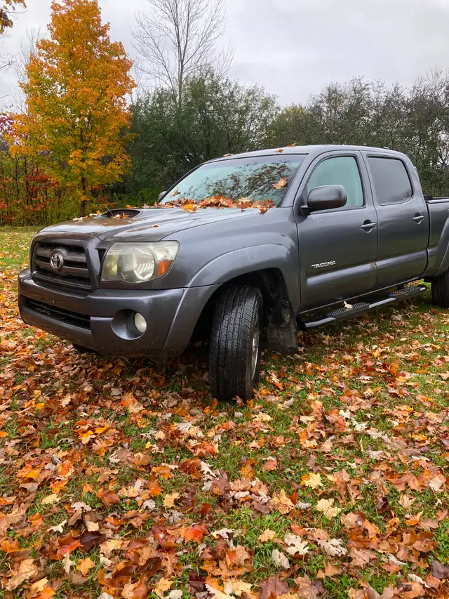 Toyota Tacoma