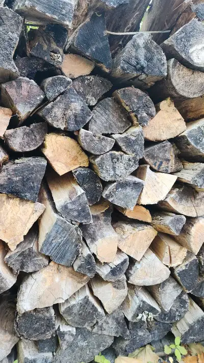 This firewood is perfect for bonfires, camping, or enjoying in your backyard, providing warmth and a...