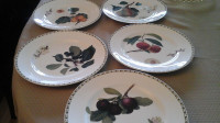 BONE CHINA  DINNER PLATES  (5) - QUEEN'S,  HOOKER'S FRUIT