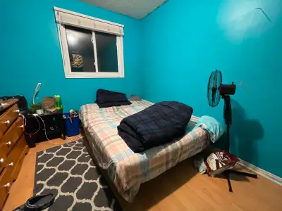 Room for rent close to Sheridan college. Sharing bathroom and kitchen. All utilities included wifi a...