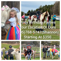 Pony Birthday Parties At Your Place Or Ours!!!