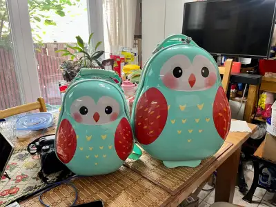 In very good condition. 2 luggages $40.