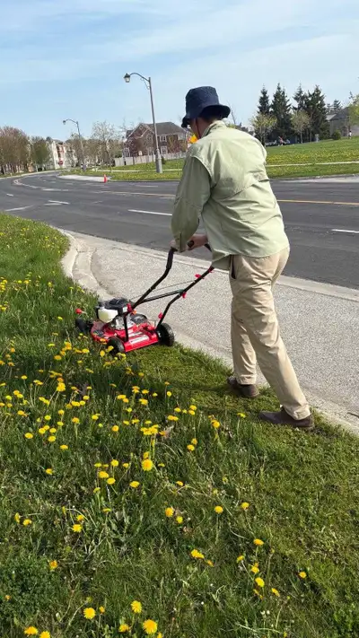 Mowe your lawn , View more