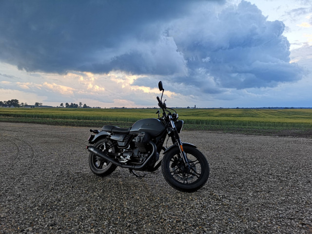 2019 Moto Guzzi V7 III Stone ABS in Street, Cruisers & Choppers in Kitchener / Waterloo