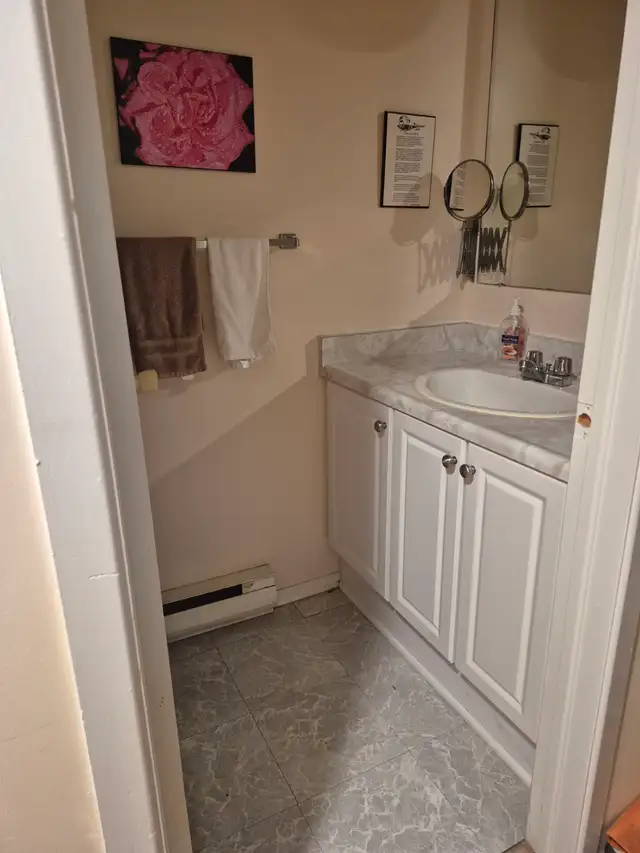 Room (basement), bathroom facilities and living room amenities. in Short Term Rentals in Ottawa - Image 5