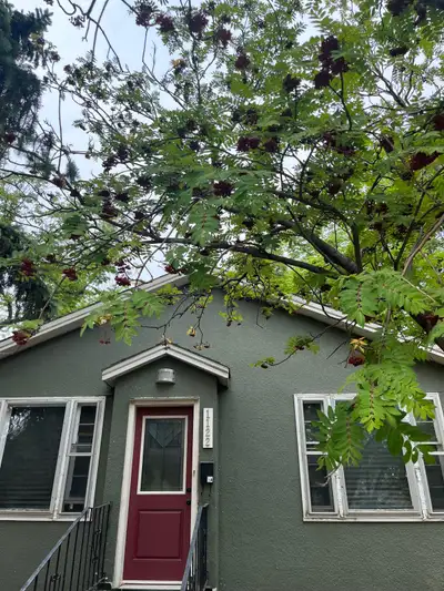 1122 Broadway Avenue