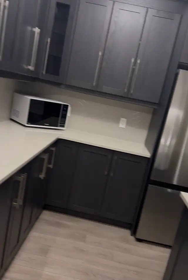 professional cleaning services