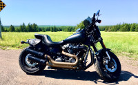 2018 Harley Davidson Fat Bob (low mileage)