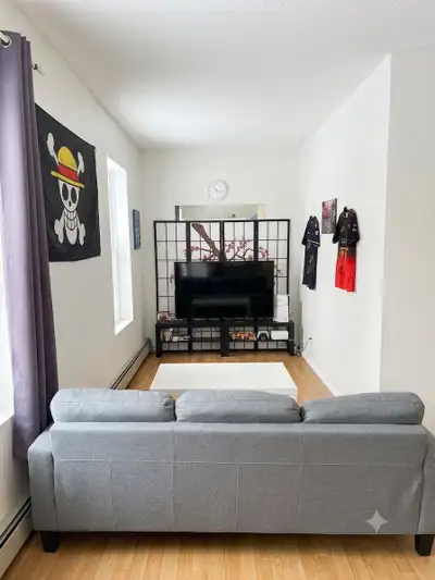 Looking for one roommate to share a 1-bedroom apartment. Only 2 people will be living in the entire...