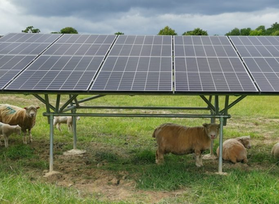 Transform the way your farm produces both food and energy with Agrovoltaics — the future of farming...