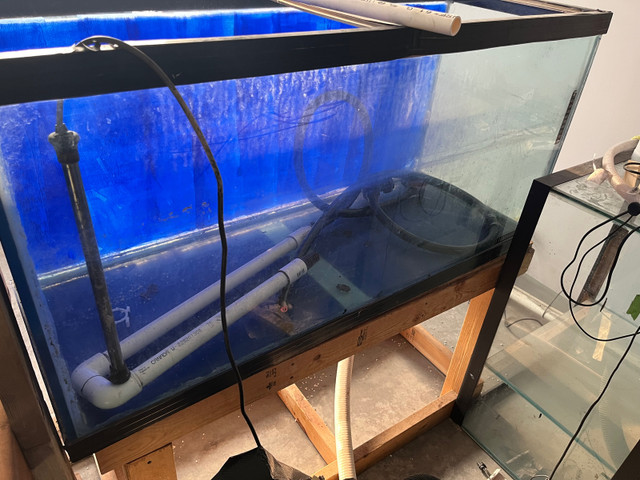 90 gallon tank and stand | Fish for Rehoming | Calgary | Kijiji