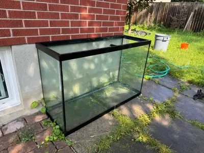Aquarium Setup, View more