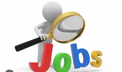 server/runner/dishwasher, View more