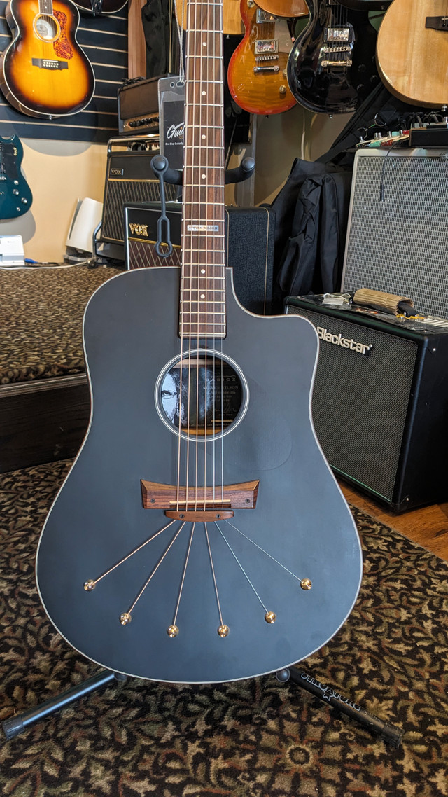 Babicz Steven Wilson Signature Acoustic Electric Guitar in Guitars in City of Toronto