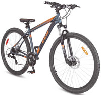 CCM 29er Hardtail Mountain Bike