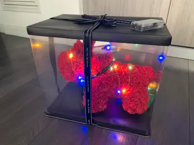 Packaged Artificial Floral Rose Bear w/ Lights “Just For You” and “Always By Your Side” Great Valent...