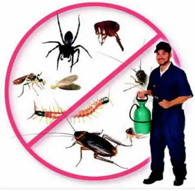Experience peace of mind knowing that your property is safeguarded against common pests such as rode...