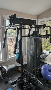 Weider fitness system 8300 multi gym