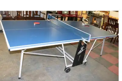 Ping pong table Giant Dragon