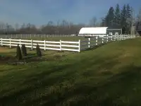 Horse PVC fence
