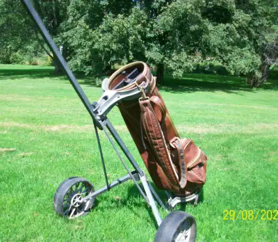 Beginner Cart. Asking $30 or FREE to anyone under 16 to pick up! Contact Andy 613-354-5260
