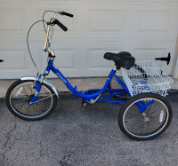 Blue Adult Tricycle Single speed Three Wheel Bike