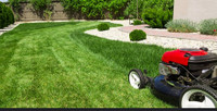 Lawn cutting plans // property Maintaince 