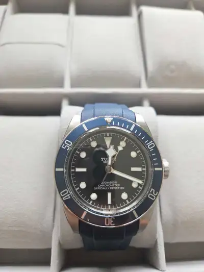 Tudor Black Bay, View more