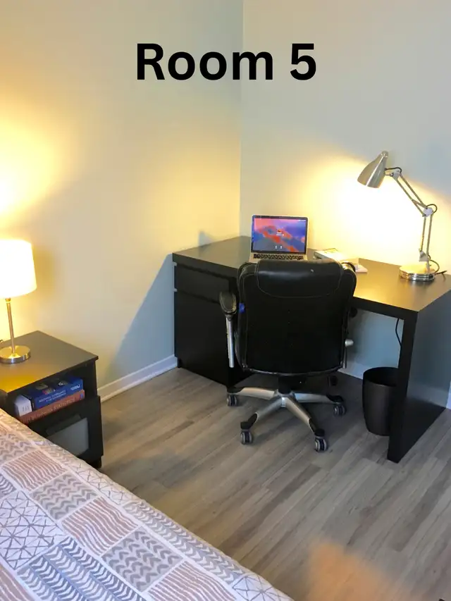 Sandy Hill Furnished All-Inclusive Room for Rent (UOttawa)63735891619329122