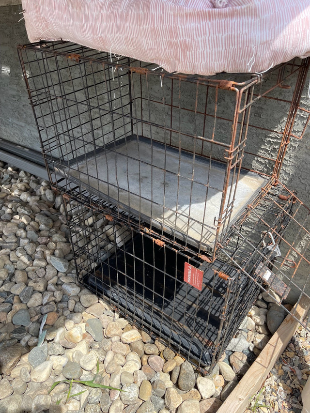 dog cage in Accessories in Regina - Image 2