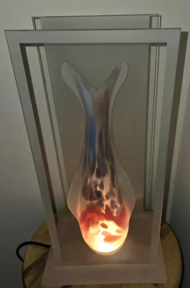 Exquisite Fish Lamp431543542811863041