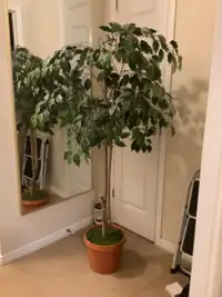 Artificial tree in pot, approximately 5 feet tall,