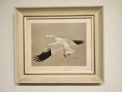 Vintage J.F Lansdowne Framed Print Return of the Snow Goose , View more