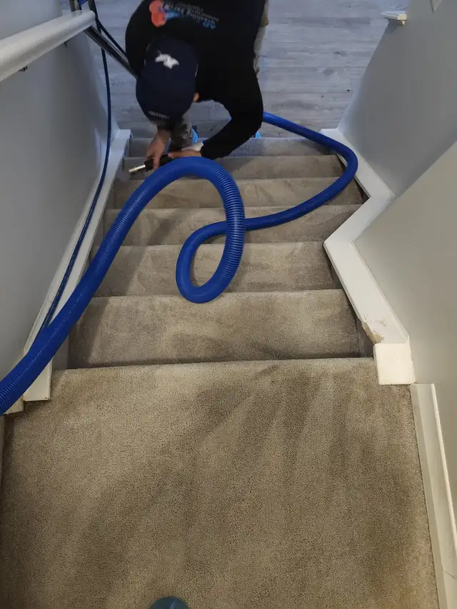 Carpet Deep Steam Cleaning  - AD Spotless Cleaning Service62863716042499122