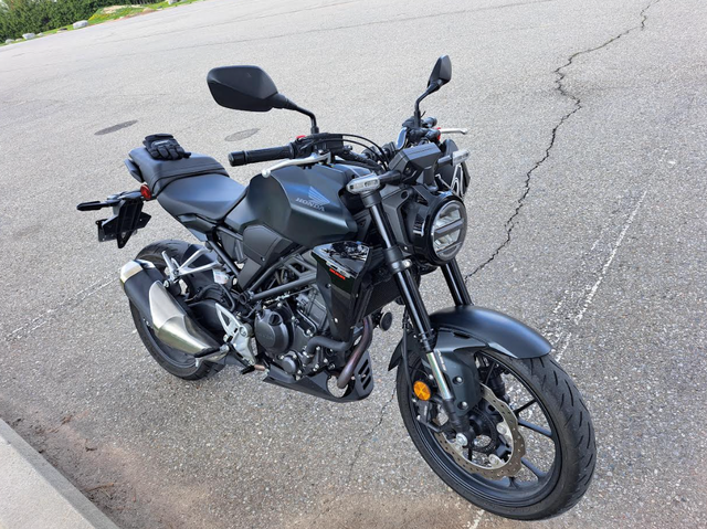 2024 Honda CB300R - The Best Beginner Motorcycle in Street, Cruisers & Choppers in Mississauga / Peel Region - Image 2