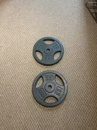 25lb Weights - $40 for Pair