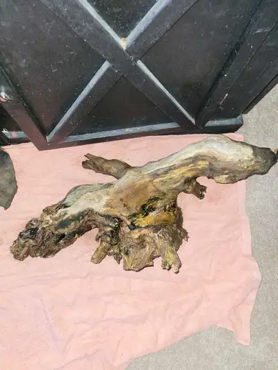 large piece of old wood, View more