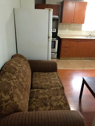 A well furnished room in basement of a clean and calm house is for rent for nice and sobber working...