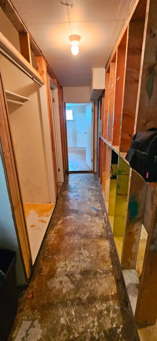 BASEMENT RENOVATION586009570181785601