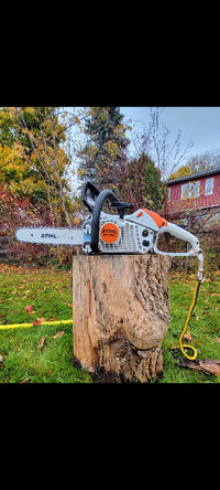TREE REMOVAL & TRIMMING *LOWEST PRICE GUARANTEED*