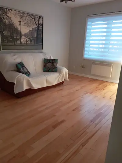 Appartement spacieux et rénové, situé dans un duplex calme et bien entretenu, à quelques minutes du...