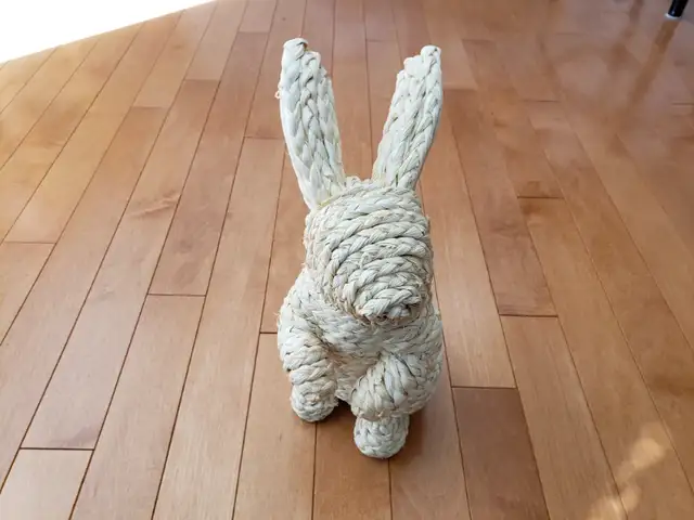 Bunny rabbit decorative