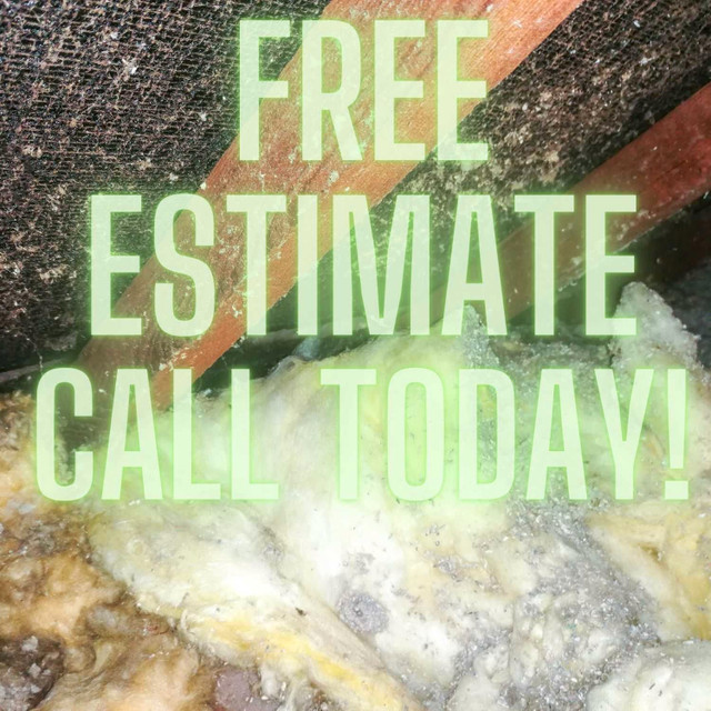 Mold Treatment Removal Drywall Insulation Tile CALL & SAVE NOW! in Other in Mississauga / Peel Region - Image 4