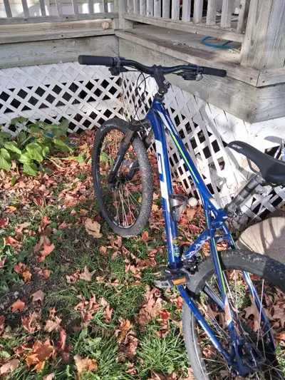 mountain bike, View more