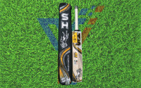 HS 41 Player Edition Cricket Bats
