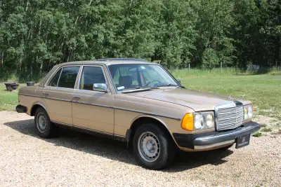 It's a real beauty! 1984 Mercedes 300D. Solid body, 95% rust free. No rips or tears in near perfect...