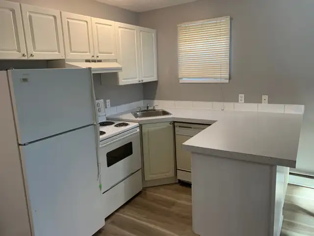 One B/R apartment for rent in Beltline (downtown)