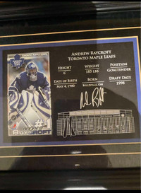 Andrew Raycroft Toronto Maple Leafs Autographed Photo Frame 