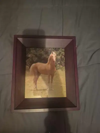 Framed Horse Picture, View more